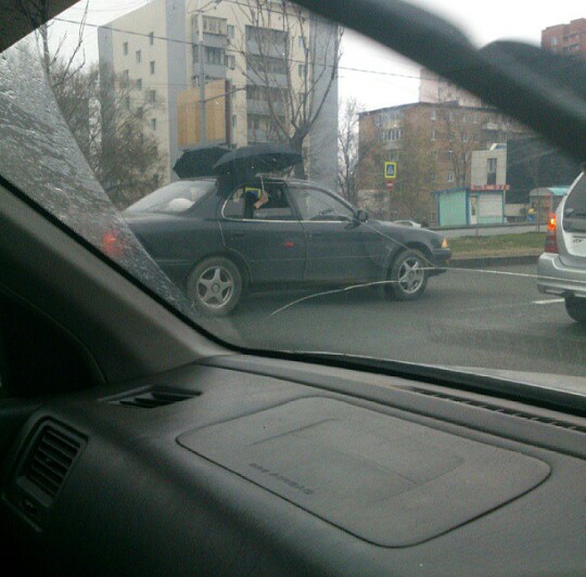 Подборка интересных и веселых картинок