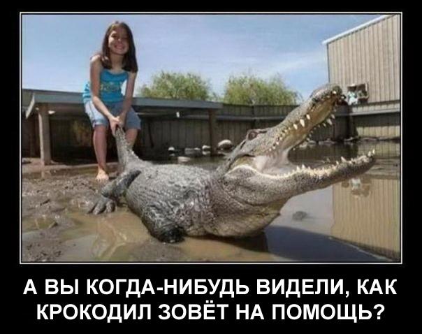 Забавные картинки из сети
