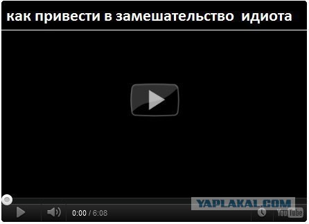 Порция картинок из сети