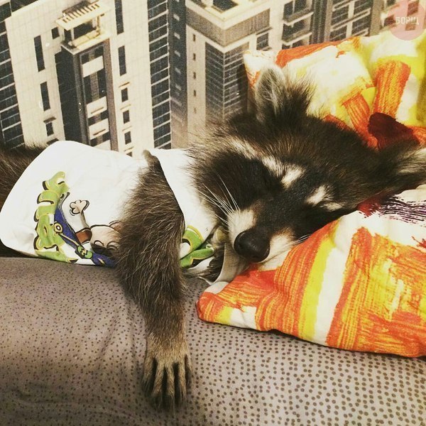 Подборка интересных и веселых фото