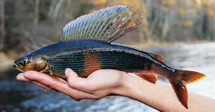 Магадан, старые и новые фотки