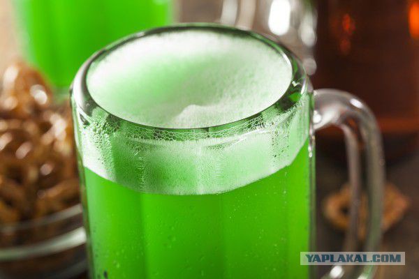 Юкка: уход и размножение