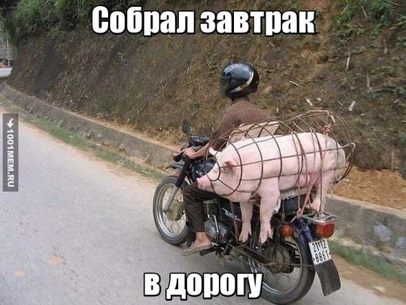 Порция картинок на пятницу