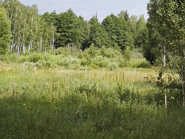 Беларусь глазами израильтянина