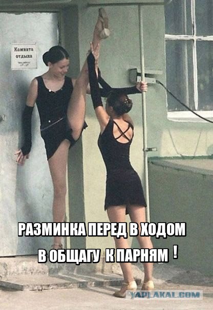 Весёлые картинки