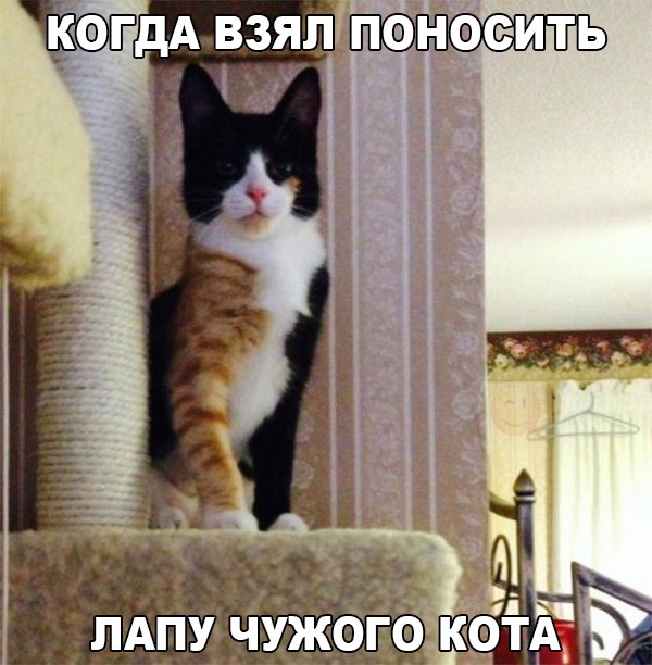 Разные картинки из сети