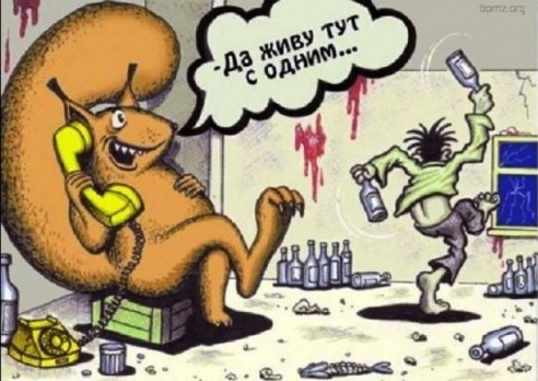 Отправили кошку в лес... принесла "урожай"