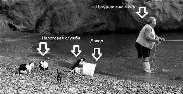 Картинки с сети