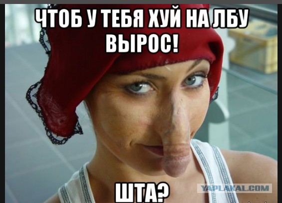 Древнейшая глубоководная акула впервые попала на видео