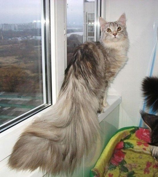 Фотки всякие разные...