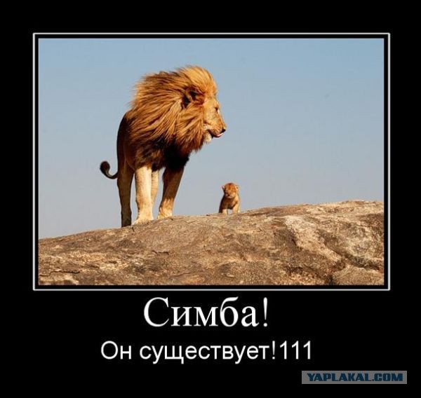Страшнее вымысла: реальные истории, которые стоят за сказками