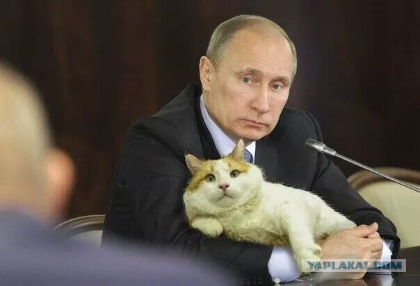 Путин и тарифы
