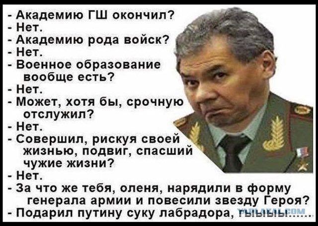 Деградация элиты России на примере Государственной Думы РФ. (30 фото)