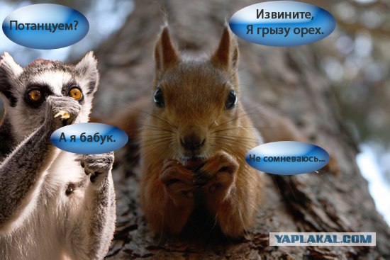 Лесная братва
