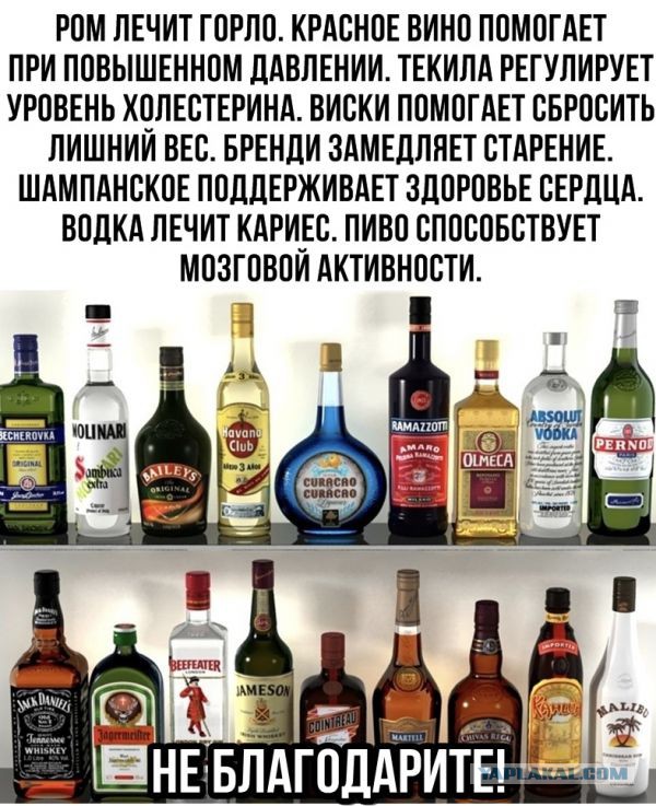 В России холостяков оказалось вдвое больше незамужних женщин
