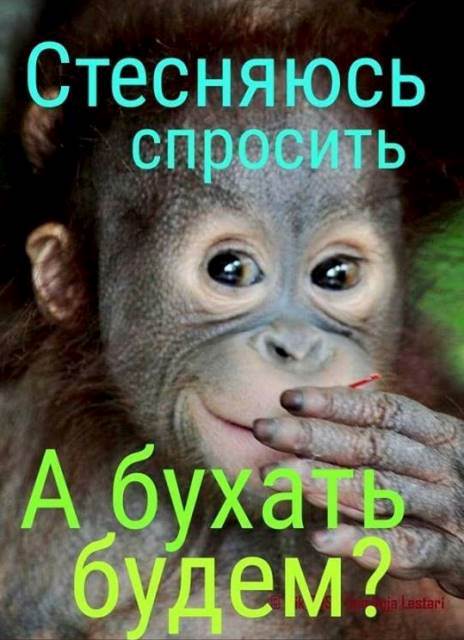 Новые санкции и почему не стоит их бояться.