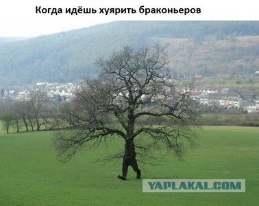 Пять Браконьеров из Краматорска, были расстреляны  из охотничьего оружия