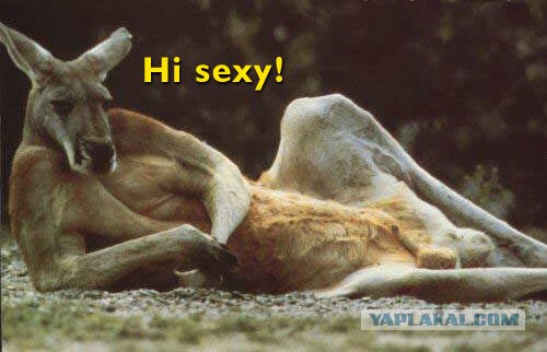 Крошка, иди ко мне