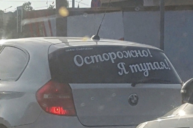 Подборочка картиночек для поднятия настроеньица