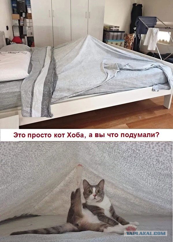 Чуток картинок "Вечерние"-3