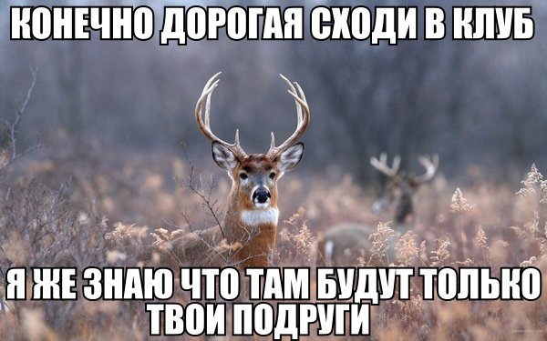 Жена привела любовника в дом, представив родственником, но о вранье узнал муж