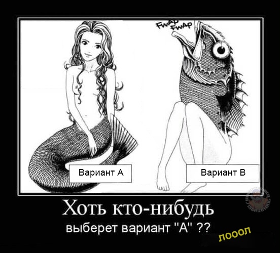 Весёлый полтишок 24.05.22