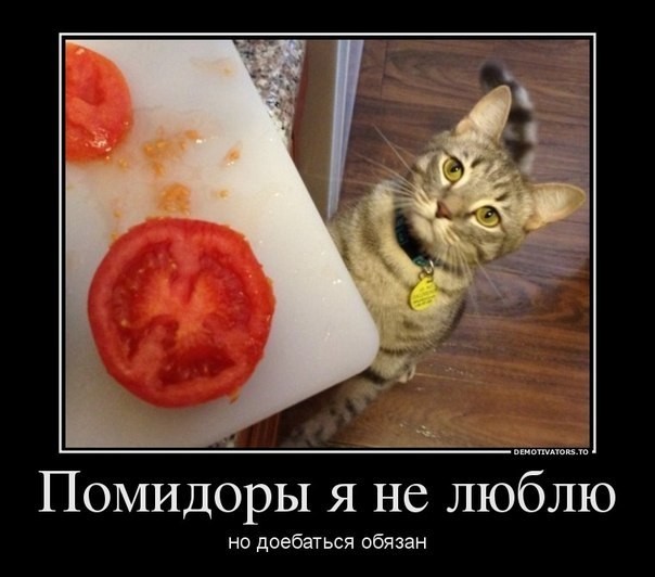 Подлые у вас душонки, хозяева...