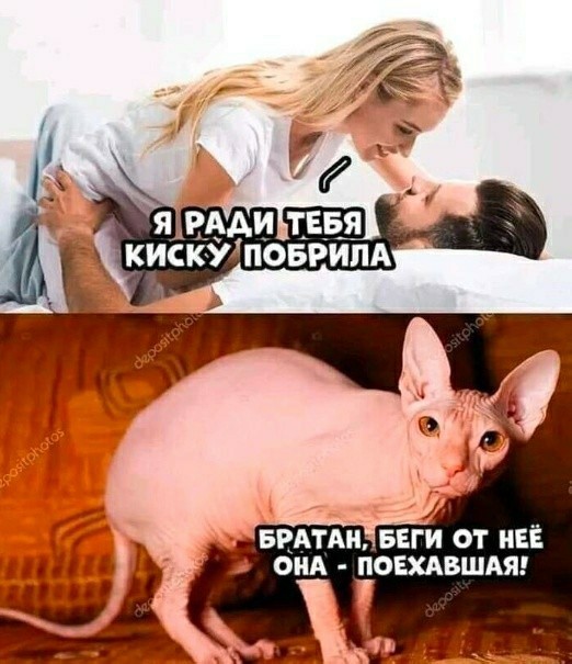 Забавные комментарии из социальных сетей (20.03.23)