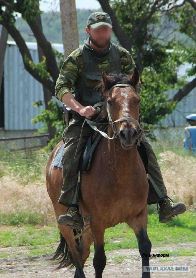 Кавалерия на СВО