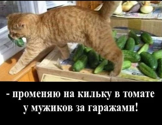 Так себе картинки 12.11.24