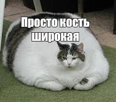 Тимофей зажрался