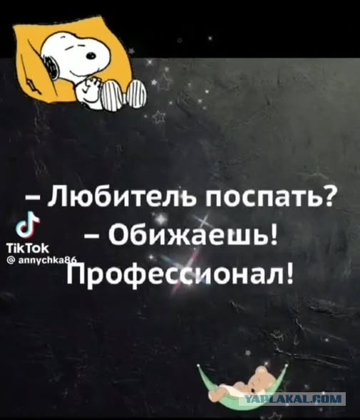 Прикольные и просто красивые картинки 12.12.2025