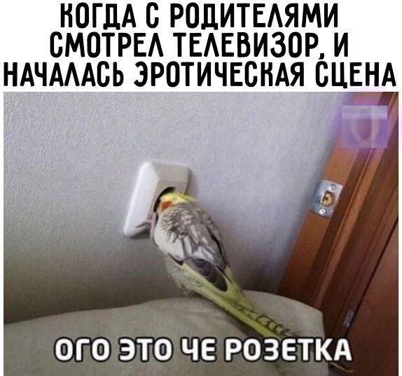 Картинки для деградации 135 (разной степени свежести)