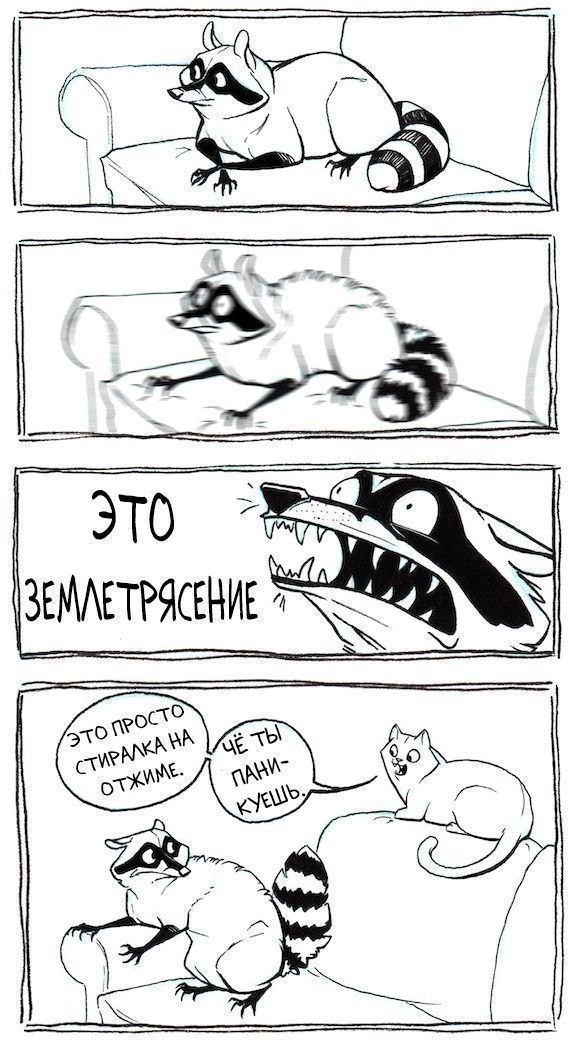 Подборка картинок-баянов с котиками и про котиков. Выпуск 34.