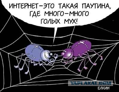 Картинки для деградации 185 (разной степени свежести)