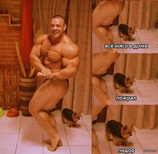 Пятничная жопка