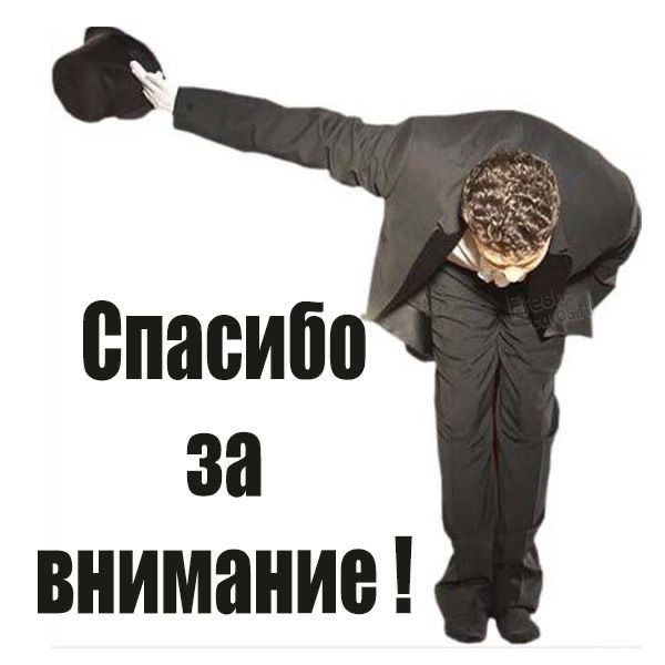 Владельцев дач предупредили о штрафах за желтый декоративный куст