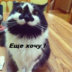 Не про олимпиаду