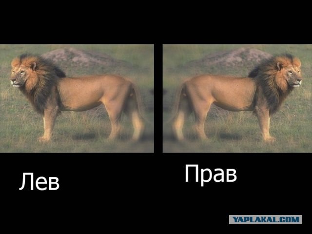 Картинки