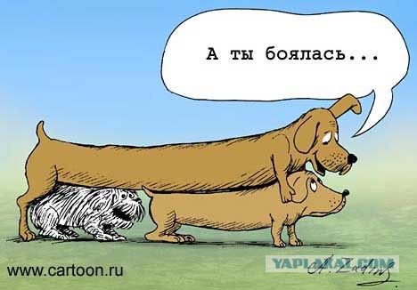 Картинки