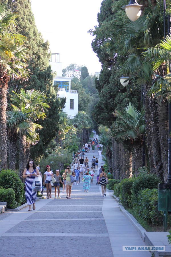 Дорога из Киева и из Москвы в Ялту.