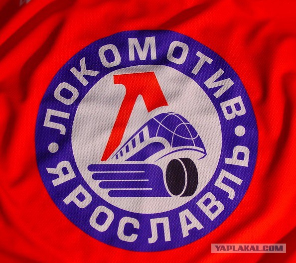 Скоро зима и хоккей, а пока...