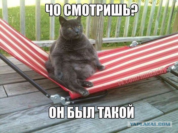 Немного позитива на пятницу
