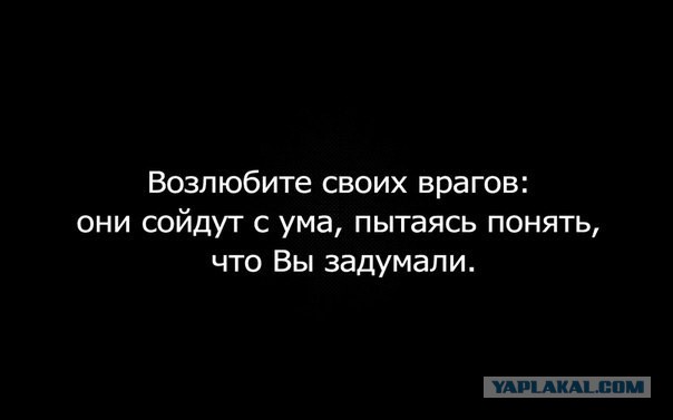 Смешные комментарии из социальных сетей 11.11.2014