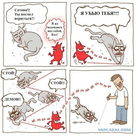 Кошки такие кошки