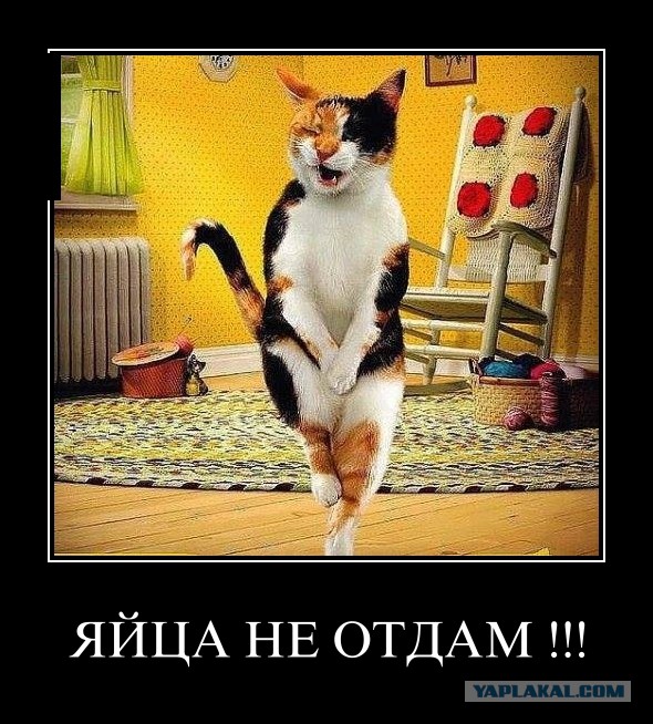 отдает в яички. ущемленная вентральная грыжа. отдает в яички. дискомфорт в паху у мужчин. воспаление яичка симптомы.