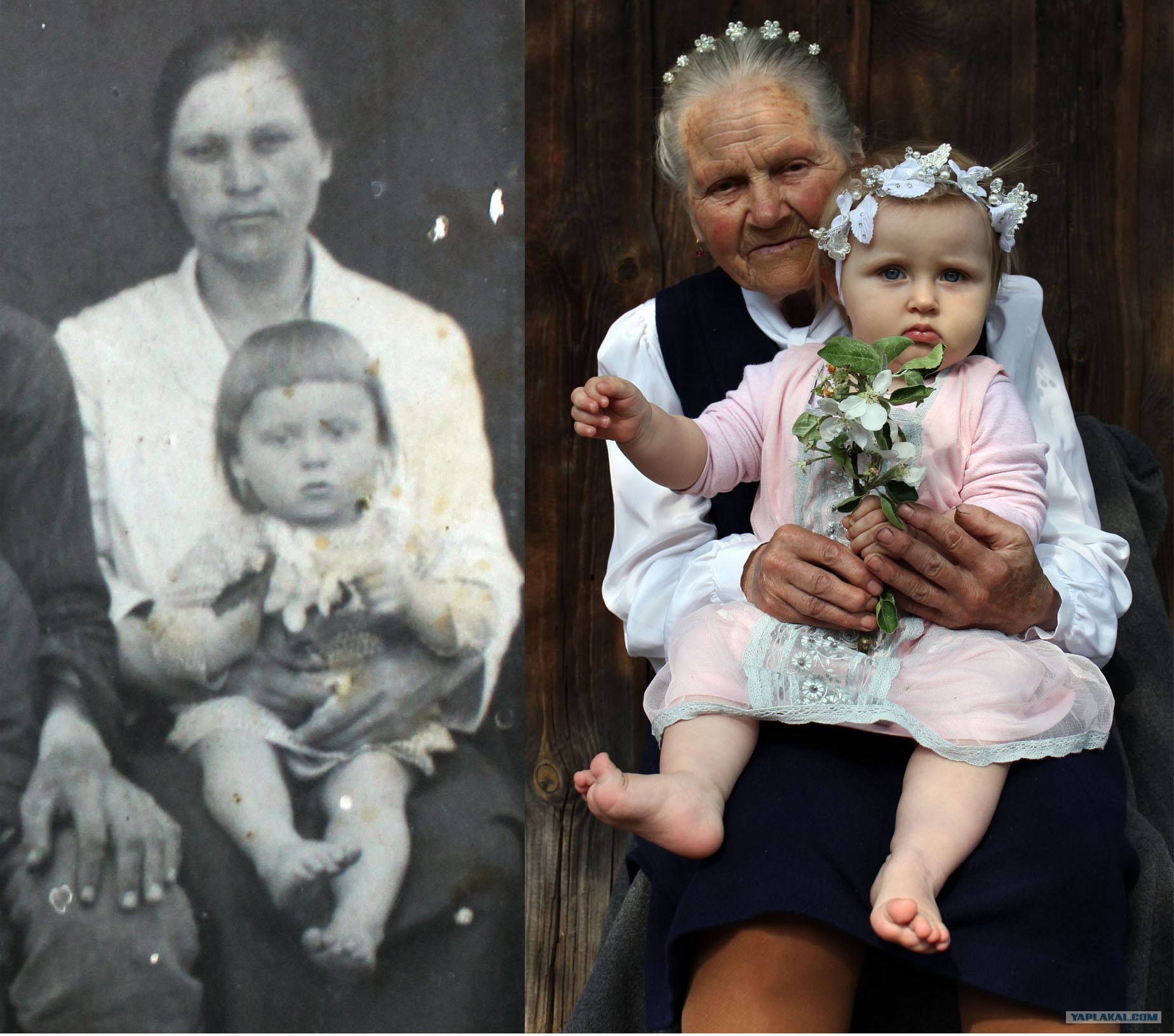 Картинки прабабушку с правнучкой. Дети внуки и правнуки. Бабушка и прабабушка. Прабабушка с правнуком.