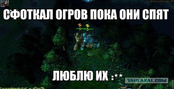 Cфотал пока спала