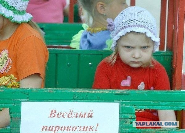 Приколы из сети