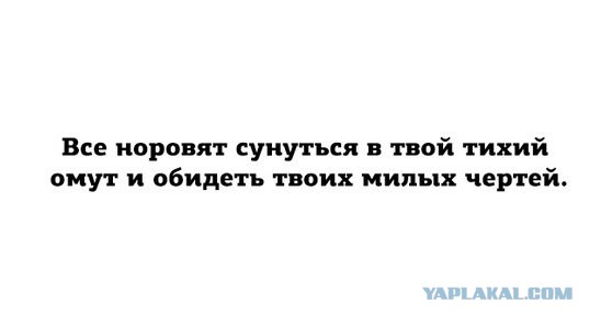 Подборка предновогодних картинок и не только